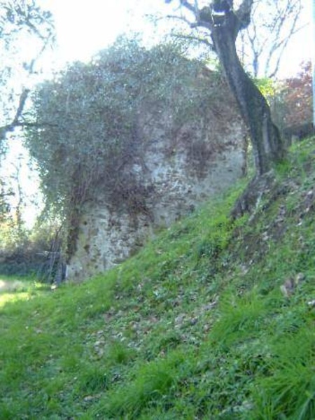 immagine annuncio 3 di 4