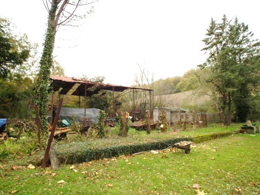 immagine annuncio 12 di 14