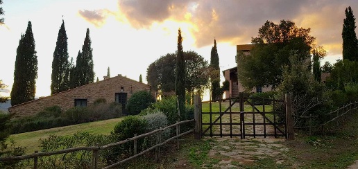 Foto Rustico a Magliano in Toscana Centro di 516 m² con 20 locali