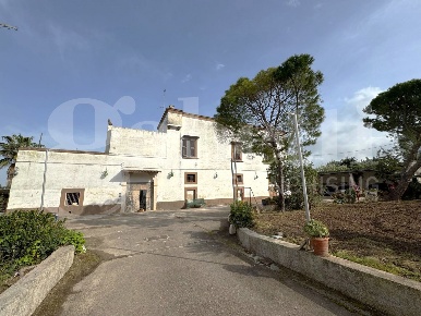 Foto Rustico in Torre Tresca, Bari Santa Caterina di 1000 m² in vendita
