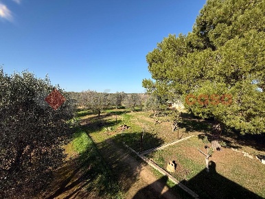 Foto Rustico in Contrada Monaci snc, Sava di 75 m² con 5 locali in vendita