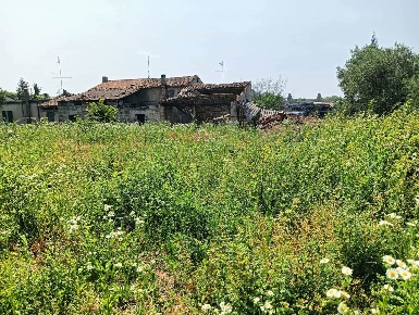 Foto Rustico in Via Facchinelle snc, Castelnuovo del Garda di 1000 m²