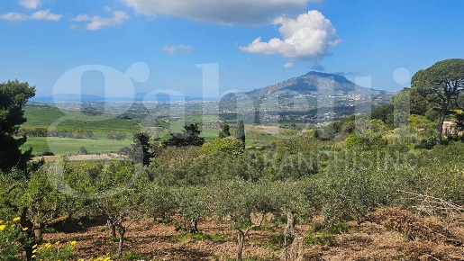 Foto Rustico in Contrada Luzziano snc, Buseto Palizzolo Centro di 25 m²