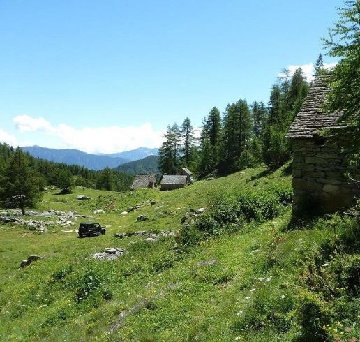 immagine annuncio 1 di 12