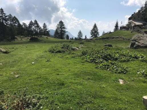 immagine annuncio 2 di 12