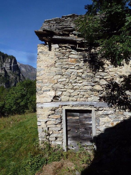 immagine annuncio 2 di 7