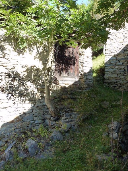 immagine annuncio 3 di 7