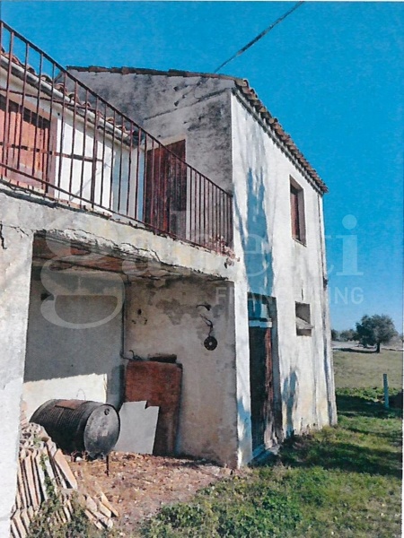 immagine annuncio 2 di 8