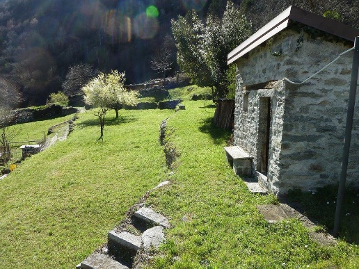 immagine annuncio 2 di 12