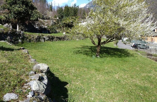 immagine annuncio 3 di 12