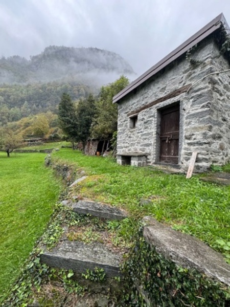 immagine annuncio 6 di 12
