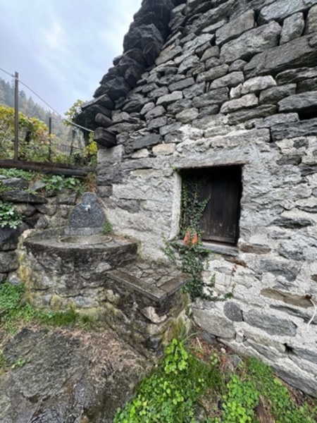 immagine annuncio 7 di 12