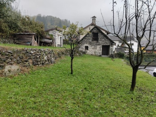 immagine annuncio 10 di 12