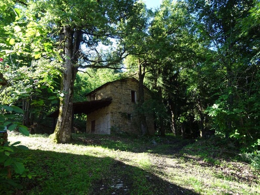 immagine annuncio 2 di 11