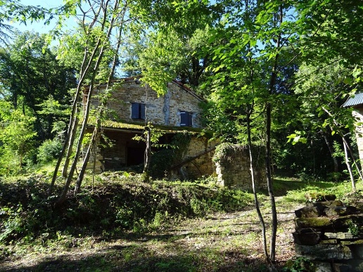 immagine annuncio 4 di 11