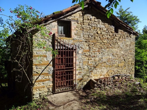 immagine annuncio 5 di 11