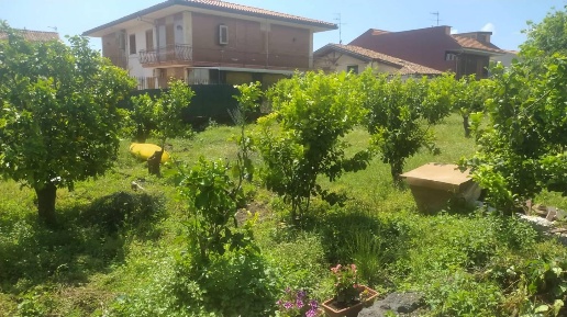 Foto Rustico in VIA canale torto, Acireale Pozzillo, Stazzo, Santa Tecla