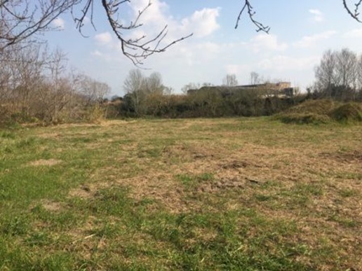 immagine annuncio 3 di 11