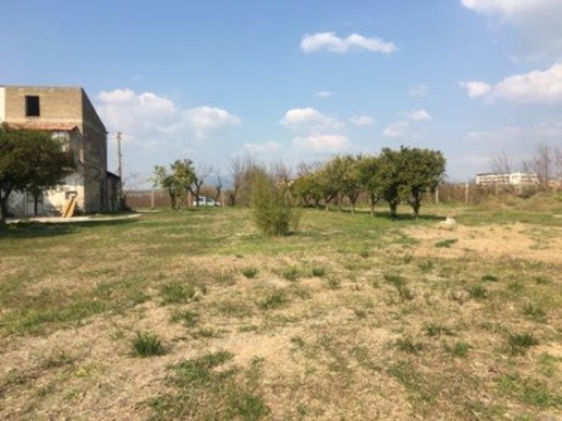 immagine annuncio 5 di 11