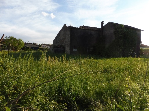 immagine annuncio 2 di 4