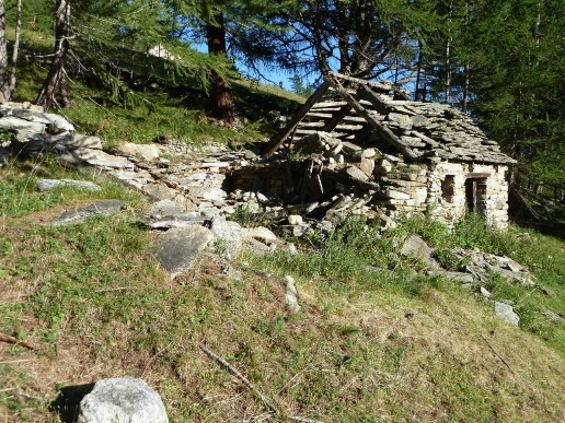 immagine annuncio 4 di 10