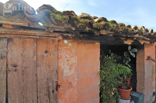 immagine annuncio 5 di 14