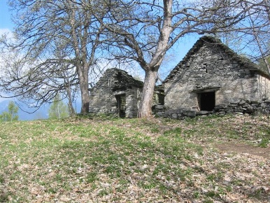 Foto Rustico in Alpe Alagua 1200 slm, Crevoladossola di 100 m² con 1 locali