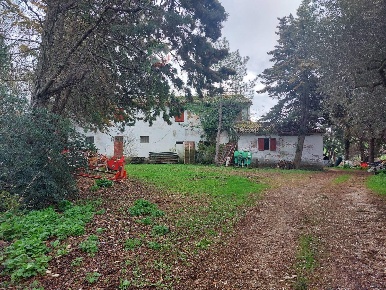 Foto Rustico a Gradara di 400 m² con 8 locali in vendita