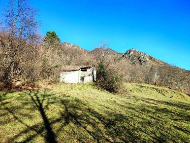 Foto Rustico in Via Alla Pineta 46, Corrido di 1200 m² in vendita