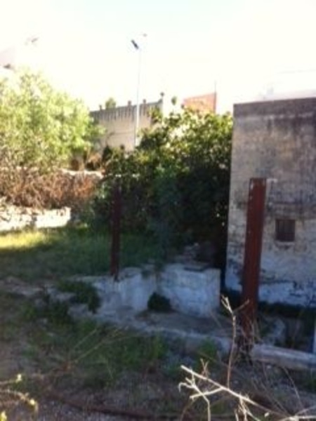 immagine annuncio 5 di 6