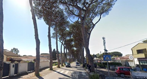 immagine annuncio 2 di 3