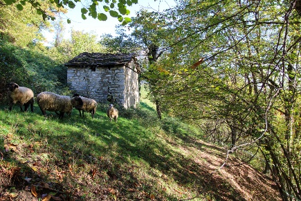 Foto Rustico in Via Dizzasco snc, Cerano d'Intelvi di 60 m² in vendita