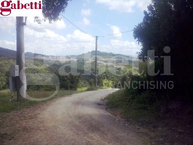 Foto Rustico a San Gimignano di 400 m² con 8 locali in vendita