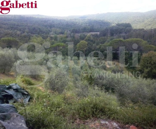 immagine annuncio 6 di 9