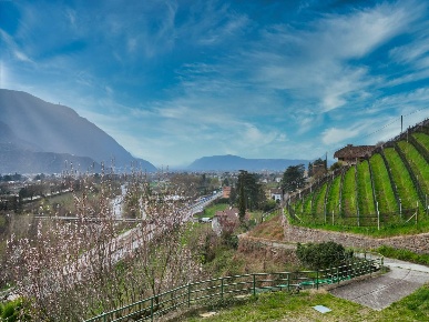 Foto Rustico in Gries, Bolzano Gries - San Quirino di 6677 m² in vendita