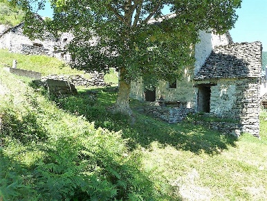 Foto Rustico in Via Veriago -, Masera di 60 m² con 3 locali in vendita