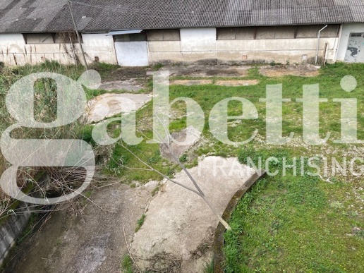 immagine annuncio 2 di 14