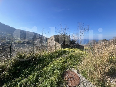 Foto Rustico in Contrada SAN PIETRO SNC, Falconara Albanese Centro