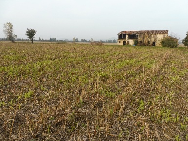 Foto Rustico in Via Boghignolo 10, Agugliaro Centro di 210 m² in vendita