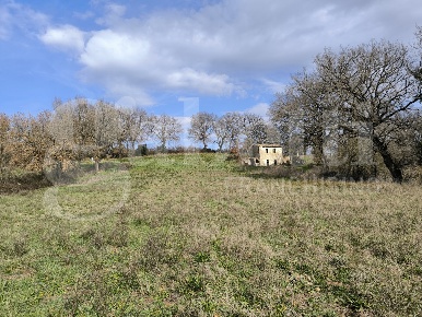 Foto Rustico in LocalitÃ  Loiano snc, Gallese di 200 m² in vendita