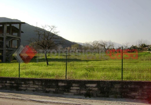 immagine annuncio 1 di 2