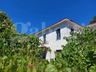Foto Rustico in Via Quaresima snc, Mosciano Sant'Angelo Centro di 200 m²