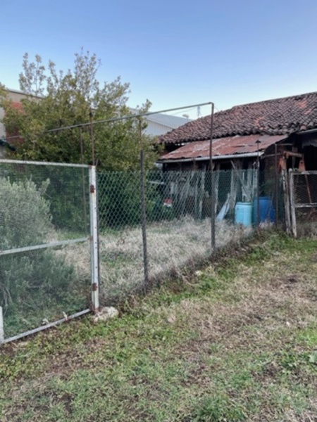 immagine annuncio 6 di 12