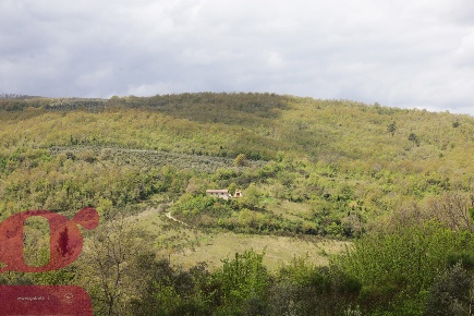 Foto Rustico in Via Ripalvella 3, San Venanzo di 450 m² con 12 locali