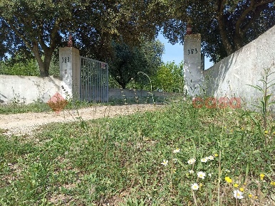 Foto Baita in Contrada Monti del Duca snc, Martina Franca di 60 m²