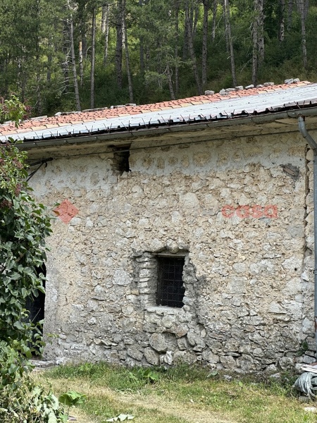immagine annuncio 4 di 7