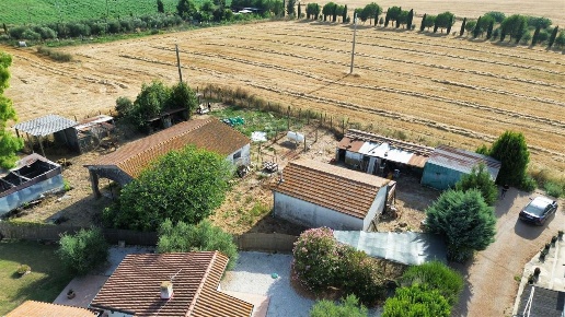 immagine annuncio 4 di 9