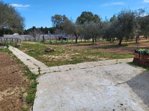 immagine annuncio 8 di 14