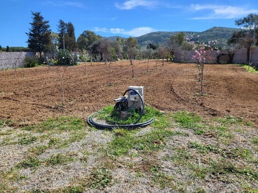 immagine annuncio 11 di 14
