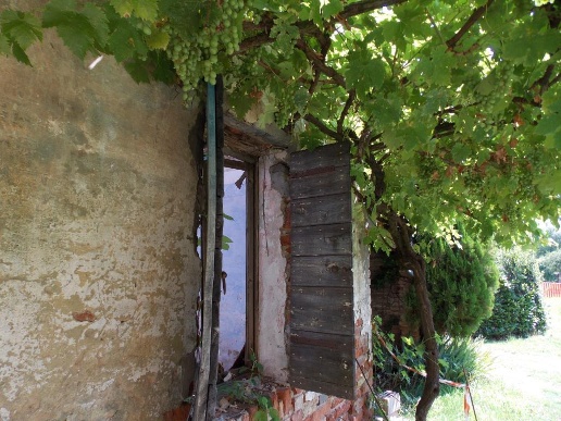 immagine annuncio 2 di 6